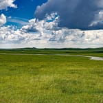 River winding through green Mongolian steppe with cumulus clouds