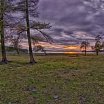 Khuvsgul Lake shoreline with larch trees at sunset northern Mongolia — Khuvsgul Lake Tour