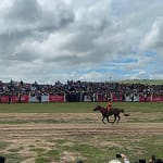 Horse race crowd cheering at finish line — Naadam Festival Tour Mongolia