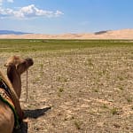 View from camel back at Khongoryn Els sand dunes Mongolia