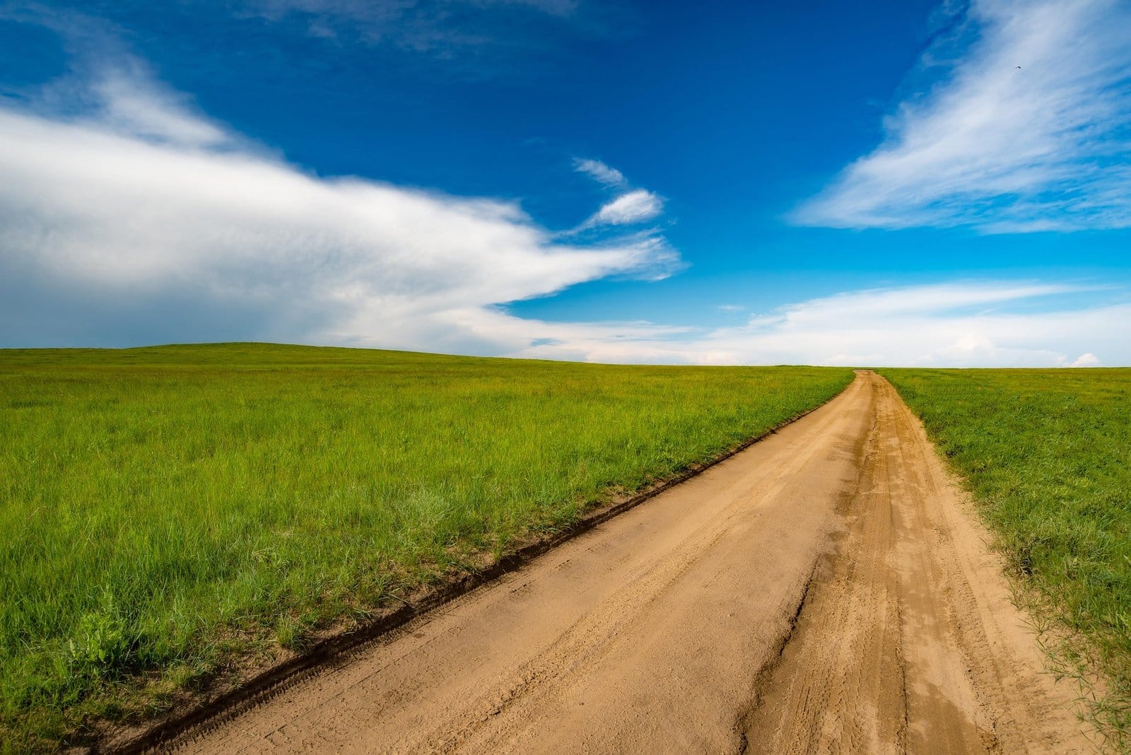 Open road through green Mongolian steppe under blue sky