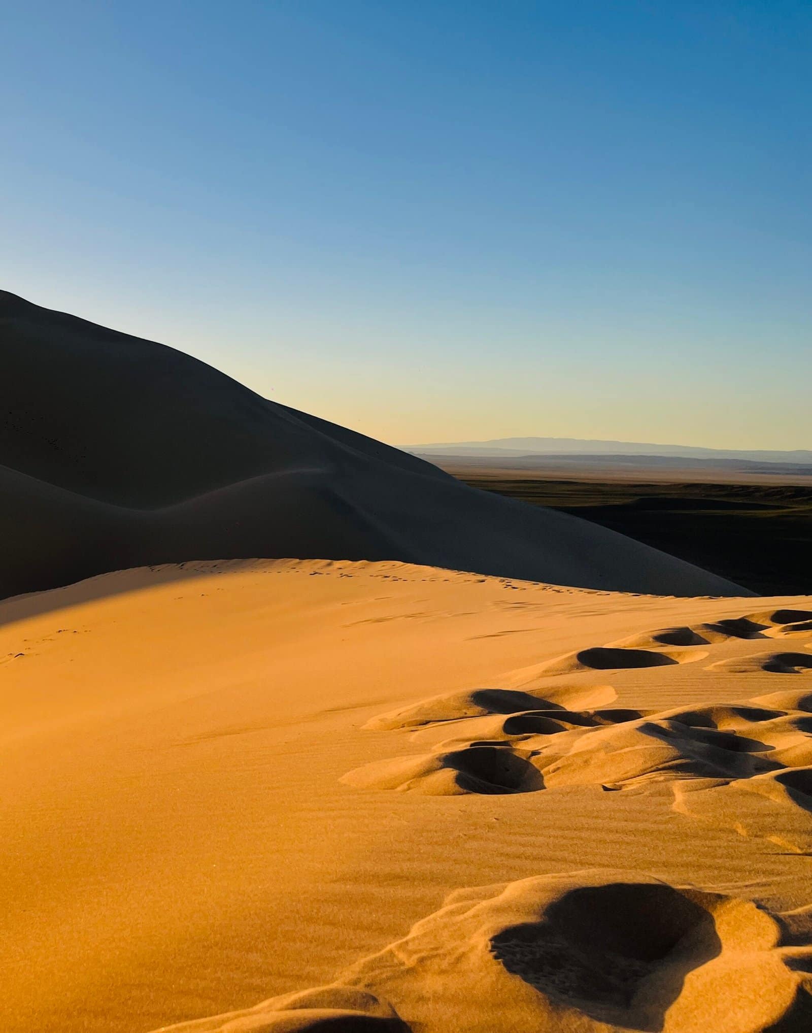 Khongoryn Els sand dunes ridgeline at golden hour Gobi Desert — Classic Mongolia Highlights